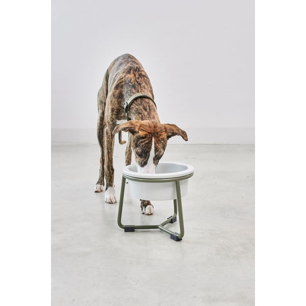 Bol cu suport  pentru câini din porțelan ø 20 cm Pranzo Grolive M – MiaCara-image-3