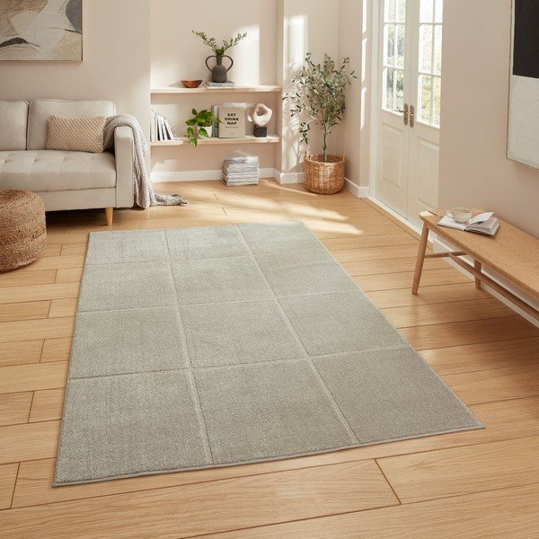 Covor gri deschis 120x170 cm Elio Silver – Think Rugs-image-1