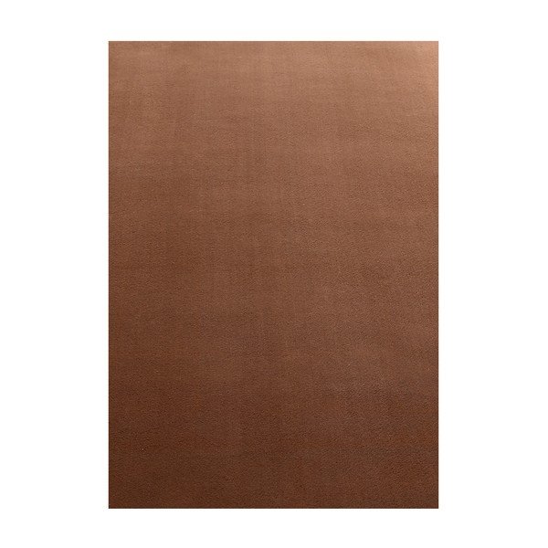 Covor maro lavabil 140x200 cm Sky – Ayyildiz Carpets
