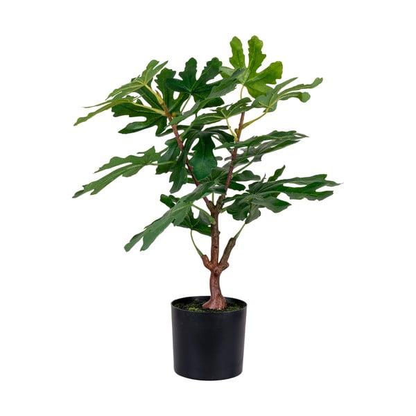 Plantă artificială (înălțime 60 cm) Fig – House Nordic