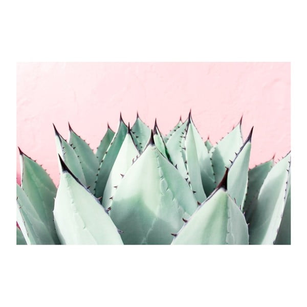 Tablou pe pânză Marmont Hill Aloe, 61 x 41 cm