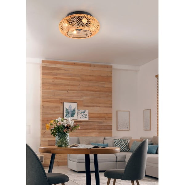 Plafonieră maro cu control prin telecomandă, cu ventilator Lillesand – Trio-image-2