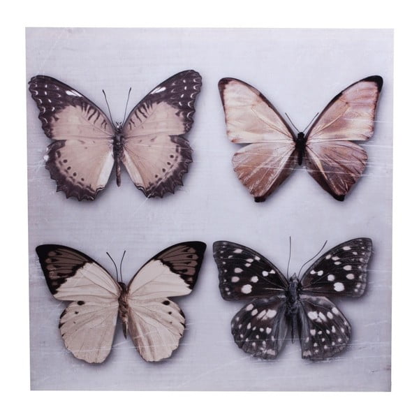 Tablou pe pânză Ewax Quatro Butterfly, 60 x 60 cm