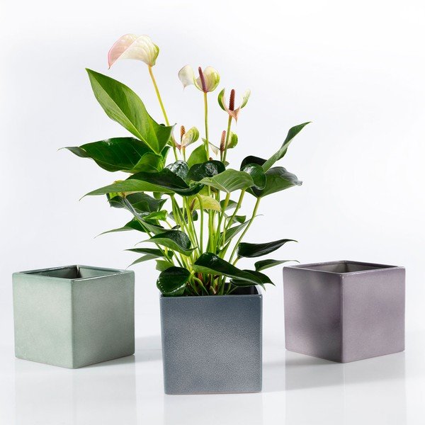 Ghiveci din ceramică Big pots Latina, 15 x 15 cm, verde-image-2