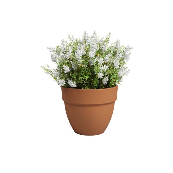 Ghiveci din teracotă ø 40 cm Amalia Campana – Artevasi-image-2