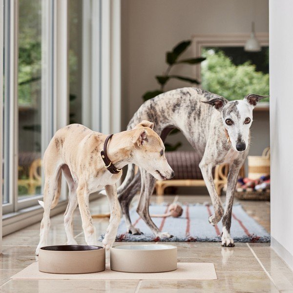 Bol pentru animale pentru câini din ceramică ø 17 cm Sia – OYOY Living Design-image-1