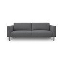 Canapea gri închis 229 cm Hero – Scandic