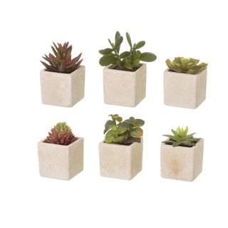 Set 6 flori artificiale Casa Selección Cactus
