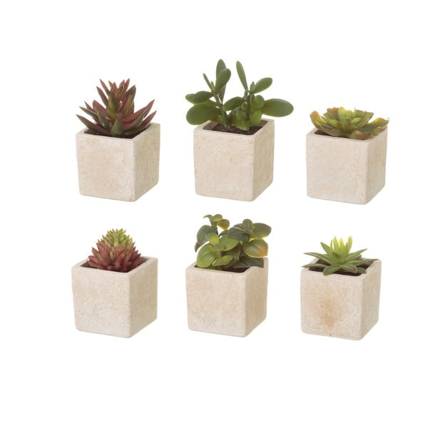 Plante artificiale 6 buc. (înălțime 9,5 cm) Cactus – Casa Selección