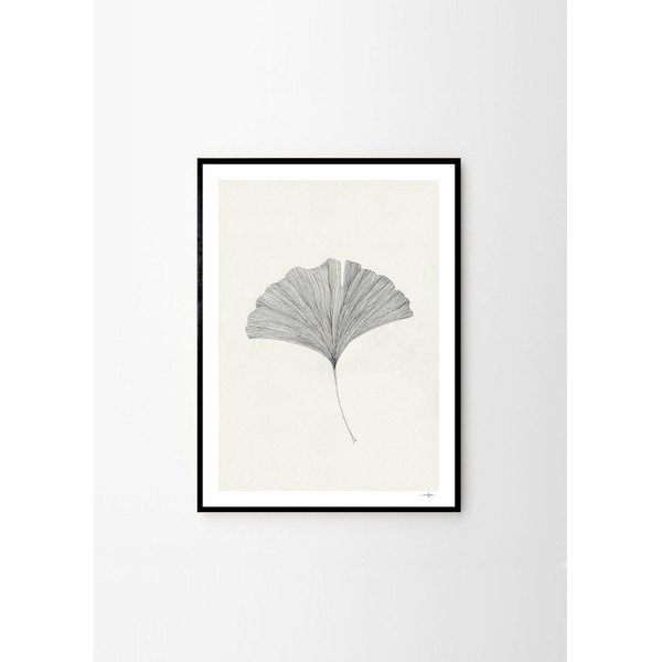 Poster 50x70 cm Ginkgo Leaf – Ana Frois – The Poster Club-image-3