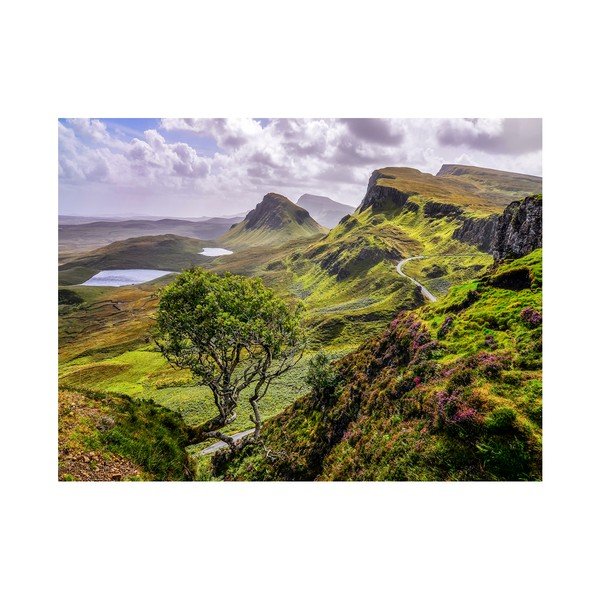 Tablou Styler Canvas Scotland Nature, 85 x 113 cm-image-1