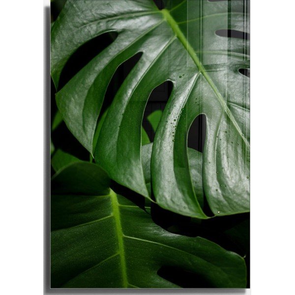 Tablou din sticlă 50x70 cm Monstera – Wallity