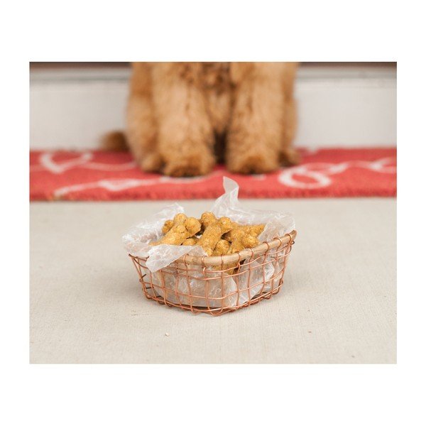 Formă pentru copt biscuiți în formă de os Nordic Ware, albastru-image-2