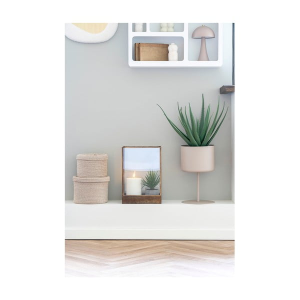 Plantă artificială (înălțime 51 cm) Aloe Vera – House Nordic-image-2