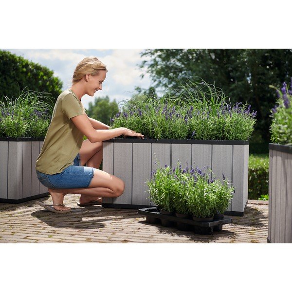Pat ridicat de plante Sequoia Duotech – Keter-image-3