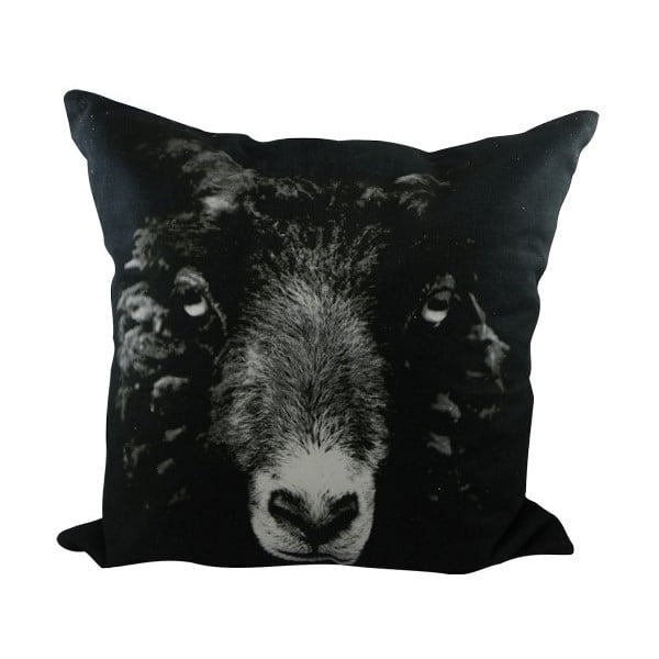 Pernă Sepia Black Sheep 50x50 cm