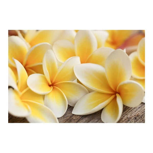 Tapet autocolant mobilă Dimex Flori, 125 x 85 cm-image-2