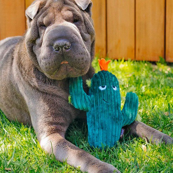 Jucărie pentru câine Cactus – P.L.A.Y.-image-1
