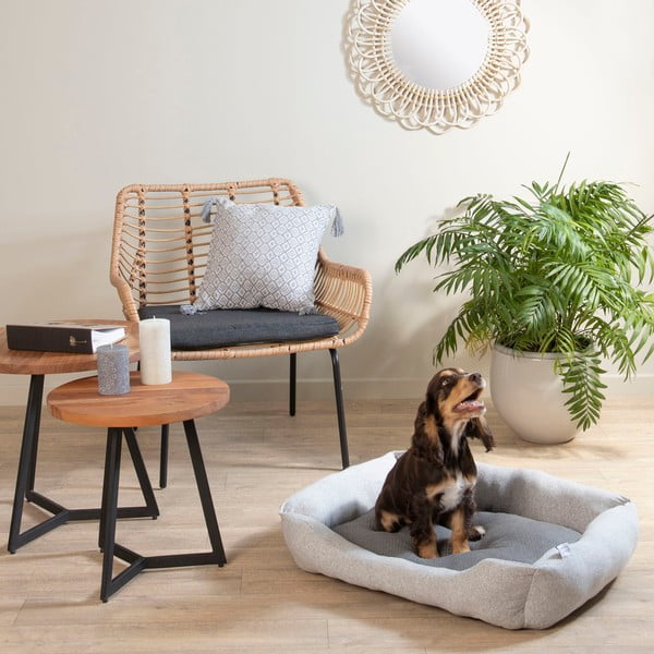 Pat pentru animale de companie gri deschis pentru câini 60x48 cm Graphene – Love Story-image-1