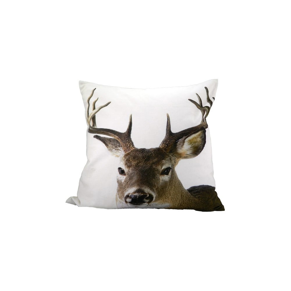 Pernă Deer 50x50 cm