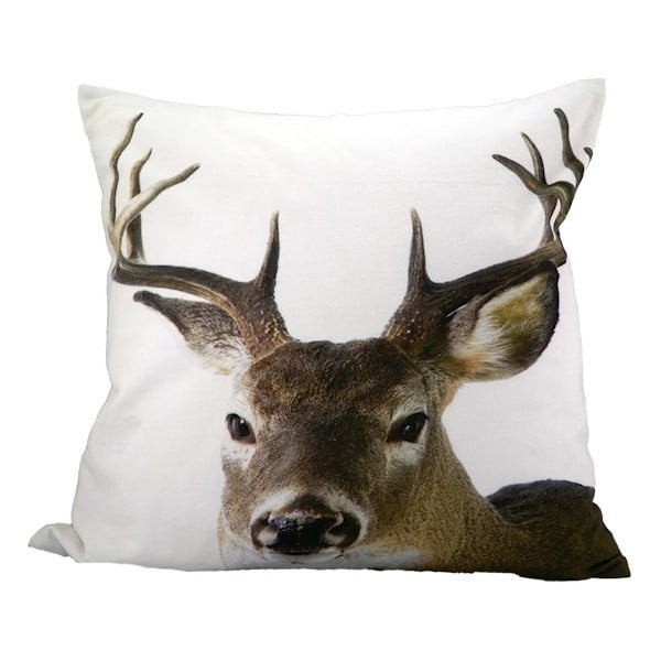 Pernă Deer 50x50 cm