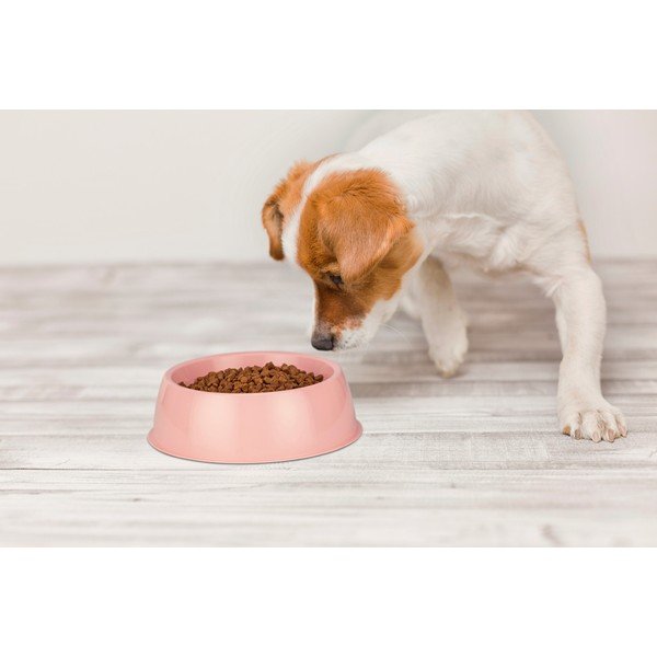 Bol roz pentru câini Petpetite, ø 21,5 cm-image-1