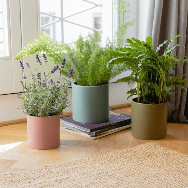 Ghivece decorative 3 buc. din porțelan pentru ierburi aromatice ø 17 cm Turin – Remember-image-1