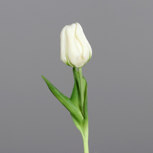 Plantă artificială (înălțime 20 cm) Tulip – Ego Dekor