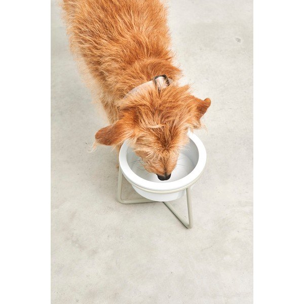 Bol cu suport  pentru câini din porțelan ø 20 cm Pranzo Greige M – MiaCara-image-3