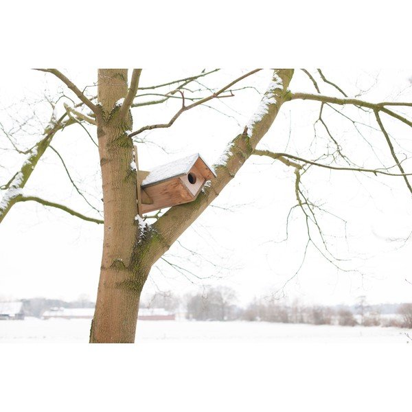 Căsuță pentru bufnițe din lemn – Esschert Design-image-2