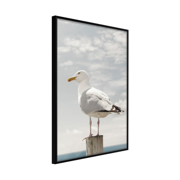 Poster cu ramă Artgeist Curious Seagull, 20 x 30 cm