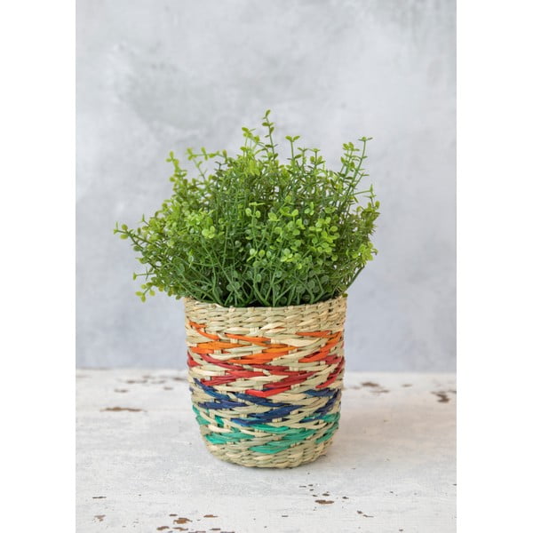 Ghiveci din iarbă de mare Kitchen Craft Rainbow, multicolor-image-4