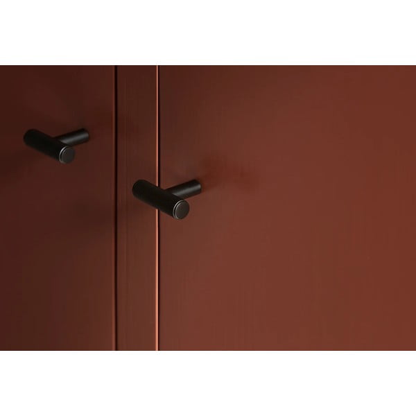 Cârlige negre 2 buc. de montat pe perete din metal Rof – Blomus-image-2