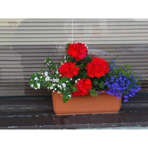 Ghiveci cu auto-udare Plastia Siesta, lungime 60 cm, maro-image-1