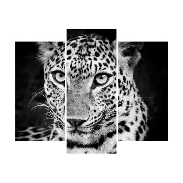 Autocolant Ambiance Leopard-image-2