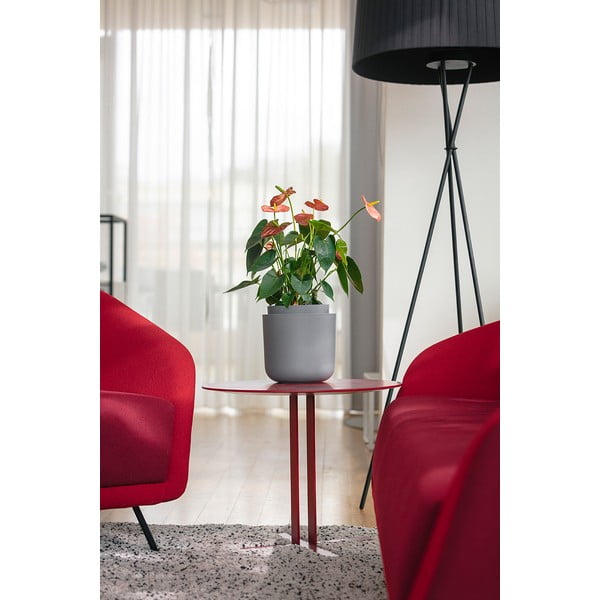 Ghiveci cu auto-udare Plastia Tolita, ø 19 cm, gri-image-2