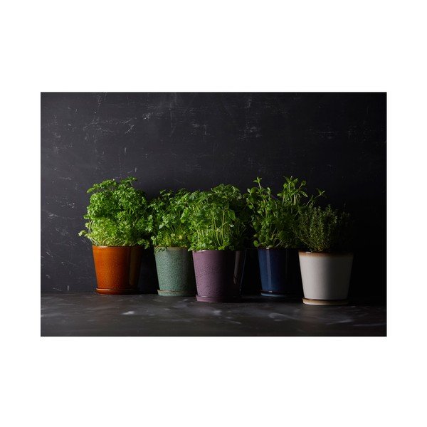 Ghiveci decorativ din gresie ø 14 cm Gastro Green/Black – Bitz-image-2
