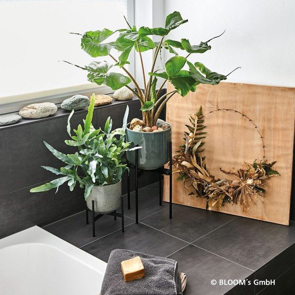 Suport pentru ghivece Big pots, ø 26 cm, gri-image-1