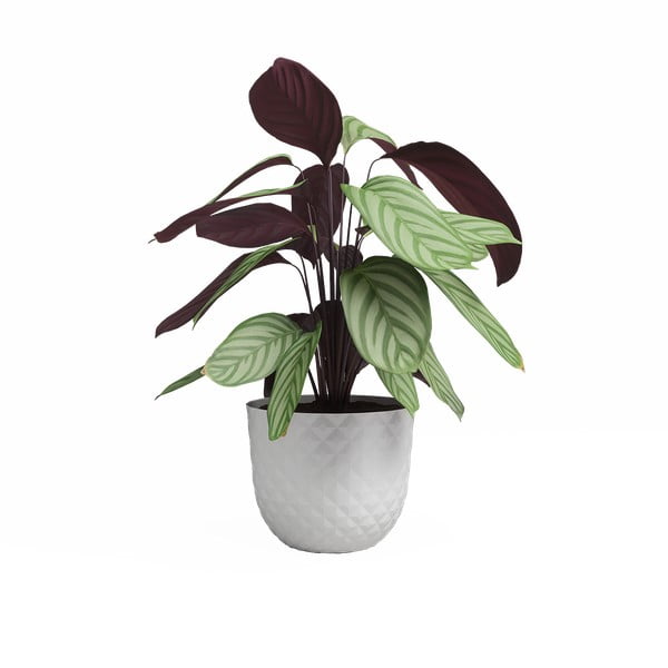 Ghiveci din plastic reciclat ø 30 cm Havana – Artevasi-image-2