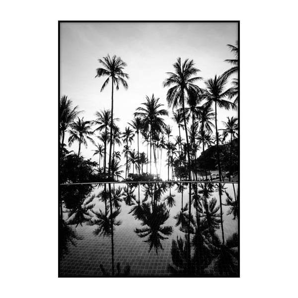 Poster Imagioo Pool And Palms, 40 x 30 cm