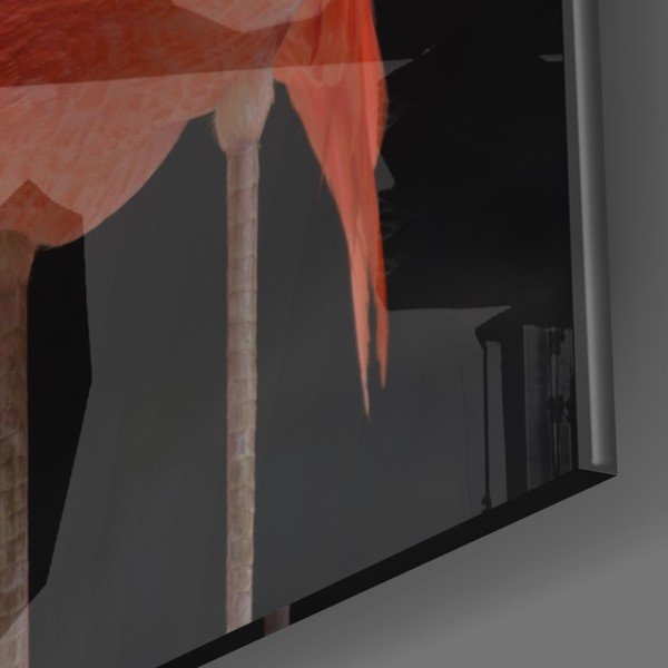 Tablou din sticlă Insigne Flamingo-image-3