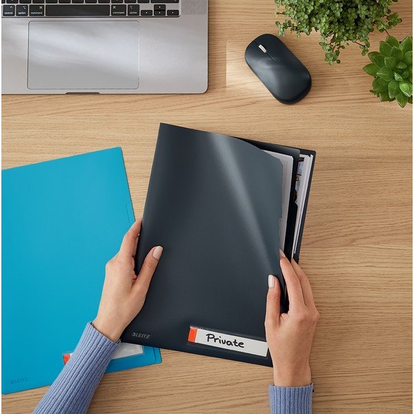 Mapă de birou cu sortare Leitz Cosy, A4, gri-image-1