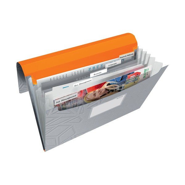 Mapă compartimentată Leitz, gri-image-1