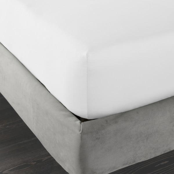 Cearceaf alb din bumbac satinat cu elastic 150x200 cm Cotton Sateen – Bianca-image-3