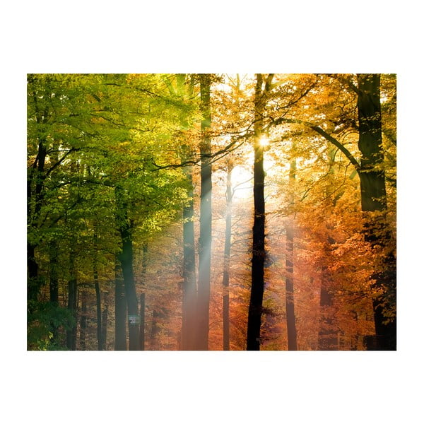 Tapet în format mare Artgeist Beautiful Autumn, 200 x 154 cm
