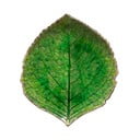 Farfurie din gresie ceramică Costa Nova Riviera, 15 x 17 cm, verde
