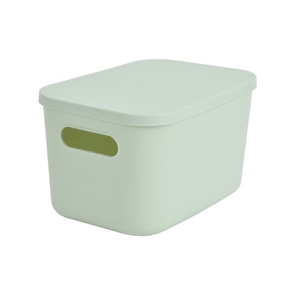Cutie de depozitare verde-deschis din plastic cu capac 24,5x18x15 cm – Homéa