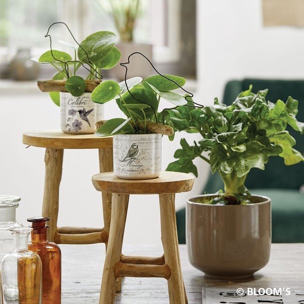 Ghiveci din ceramică Big pots Bari, ø 19 cm, maro-image-1