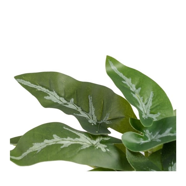 Plantă artificială (înălțime 21 cm) Syngonium – Ixia-image-2