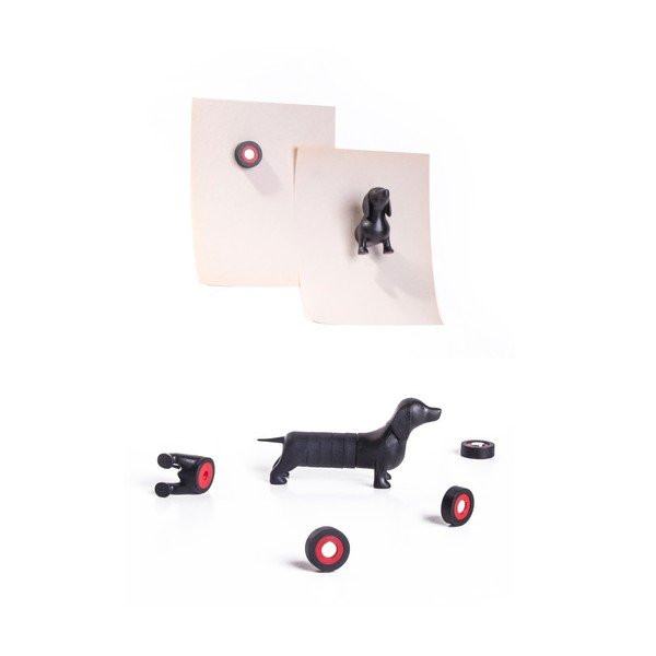 Set magneți Qualy&CO Magnetic Dog,-image-3